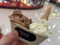 开一家极拉图冰淇淋好不好？加盟条件是什么？