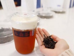 木森茶怎么样？开一家木森茶需要多少钱？