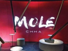 MOLE 摩乐加盟