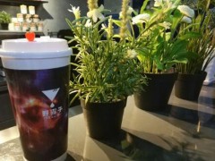 野露子奶茶加盟怎么样？野露子奶茶加盟费用贵不贵？
