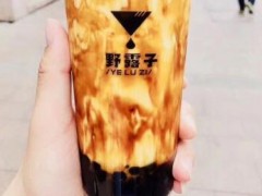 野露子奶茶总部在哪？野露子奶茶加盟条件有哪些？