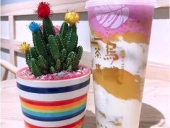 乌铁茶集怎么样？乌铁茶集加盟费贵吗？
