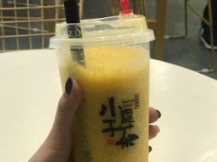 小隐于茶加盟费贵吗？小隐于茶的加盟费是多少？