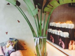 Sento Tea森兔加盟