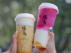注春人文茶饮加盟费多少?投资9.5万元即可开店!