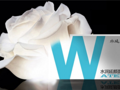 注春国际人文茶饮加盟