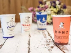 九头牛鲜奶加盟怎么样?天然巴氏鲜奶好喝健康!