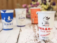 九头牛鲜奶加盟条件是什么?统一货源品质有保障!