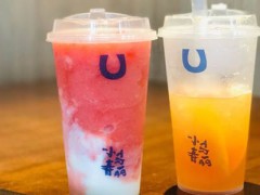 小马春丽加盟好不好?开启新潮茶饮风向!