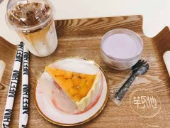 火麟炭焼茶加盟费多少?低至9万元投资开店!