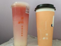 初白奶茶为什么这么火?自然牧场打造健康茶饮
