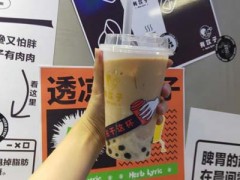 有饮子Herb Lyric加盟费多少?8万元投资开茶饮店!