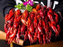 江湖虾说加盟费多少钱？越开越火的知名品牌小龙虾