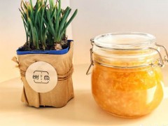 树鱼加盟费多少？8-13万元开一家人气茶饮店