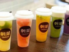 朝茶怎么样？淡季如何合理应对？