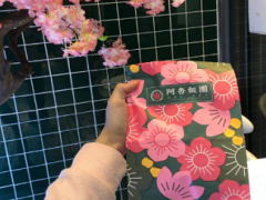 阿杏饭团加盟有什么优势？阿杏饭团如何加盟？