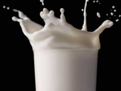 温州一鸣真鲜奶吧加盟热线，加盟流程分析