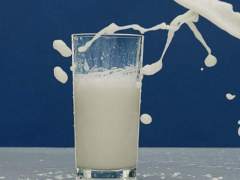 一鸣真鲜奶吧利润高吗？大概多久可以回本？