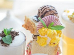 龙小茶加盟靠谱吗？龙小茶加盟支持有哪些？