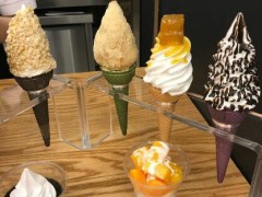 Softree冰淇淋加盟赚钱吗？Softree冰淇淋加盟利润是多少？