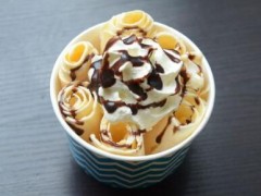 创业投资小项目，开封载沅家炒酸奶加盟多少钱？