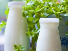 天天禾鲜奶吧怎么样？天天禾鲜奶吧加盟优势