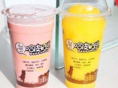 小成本致富创业项目有哪些？哈皮奶思奶茶加盟前途无限！