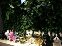 HOODOGCAFE宠物咖啡为什么这么受欢迎？加盟HOODOGCAFE宠物咖啡有哪些支持？