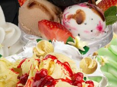 哥伦布冰淇淋加盟条件有哪些？哥伦布冰淇淋官方加盟电话