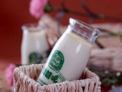 missmilk酸奶吧怎么加盟？missmilk酸奶吧加盟流程