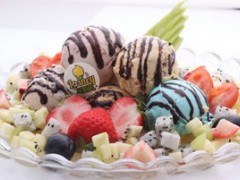 乐斯尼冰淇淋加盟条件有哪些？乐斯尼冰淇淋官方加盟电话