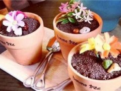 加盟兿莎盆栽冰淇淋赚钱吗？兿莎盆栽冰淇淋加盟利润分析