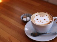 如何提高咖啡店市场竞争力？猫窝咖啡这样做！