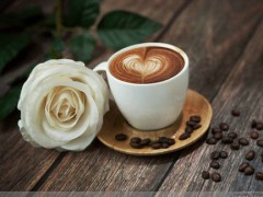 朵朵咖啡加盟有什么条件？朵朵咖啡官方加盟电话