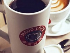 猫窝咖啡告诉你，开一家咖啡店可能会出现的几个问题！