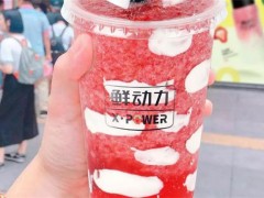 鲜动力Xpower加盟