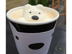 大学生如何开一家成功的咖啡熊奶茶店