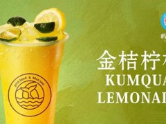 屿蓝湾加盟：让每一位消费者感受的到的用心做好茶