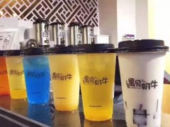 温州如何加盟遇见奶牛？加盟遇见奶牛需要哪些条件？