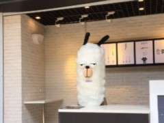 丧茶的经营技巧是什么？丧茶如何做好服务？