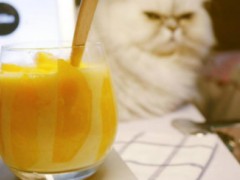 90后如何去创业，茶之道奶茶店怎么加盟？