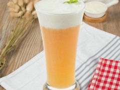 茶桔便有淡季吗，茶桔便门店经营