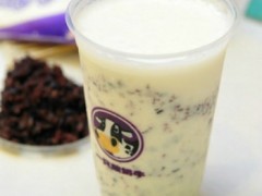 一只酸奶牛门店经营，一只酸奶牛经营保障