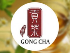 漾漾好贡茶多久能够回本