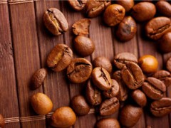 咖啡小白入行必看