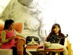 动物咖啡馆成新宠
