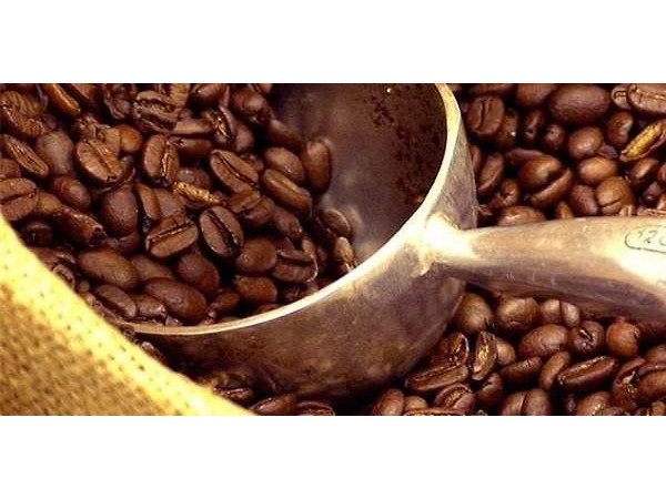 巴西咖啡最常见的四种处理方法