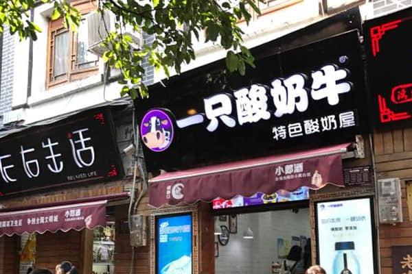 一只酸奶牛产品图4