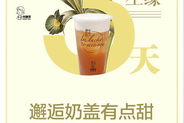 小确茶产品图3