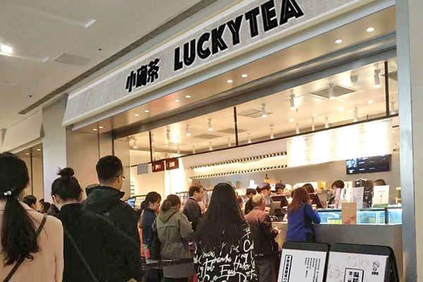 小确茶产品图2